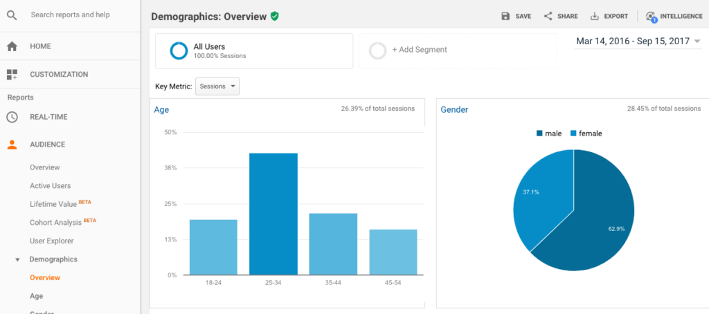 Customer journey - Google analytics demografische gegevens